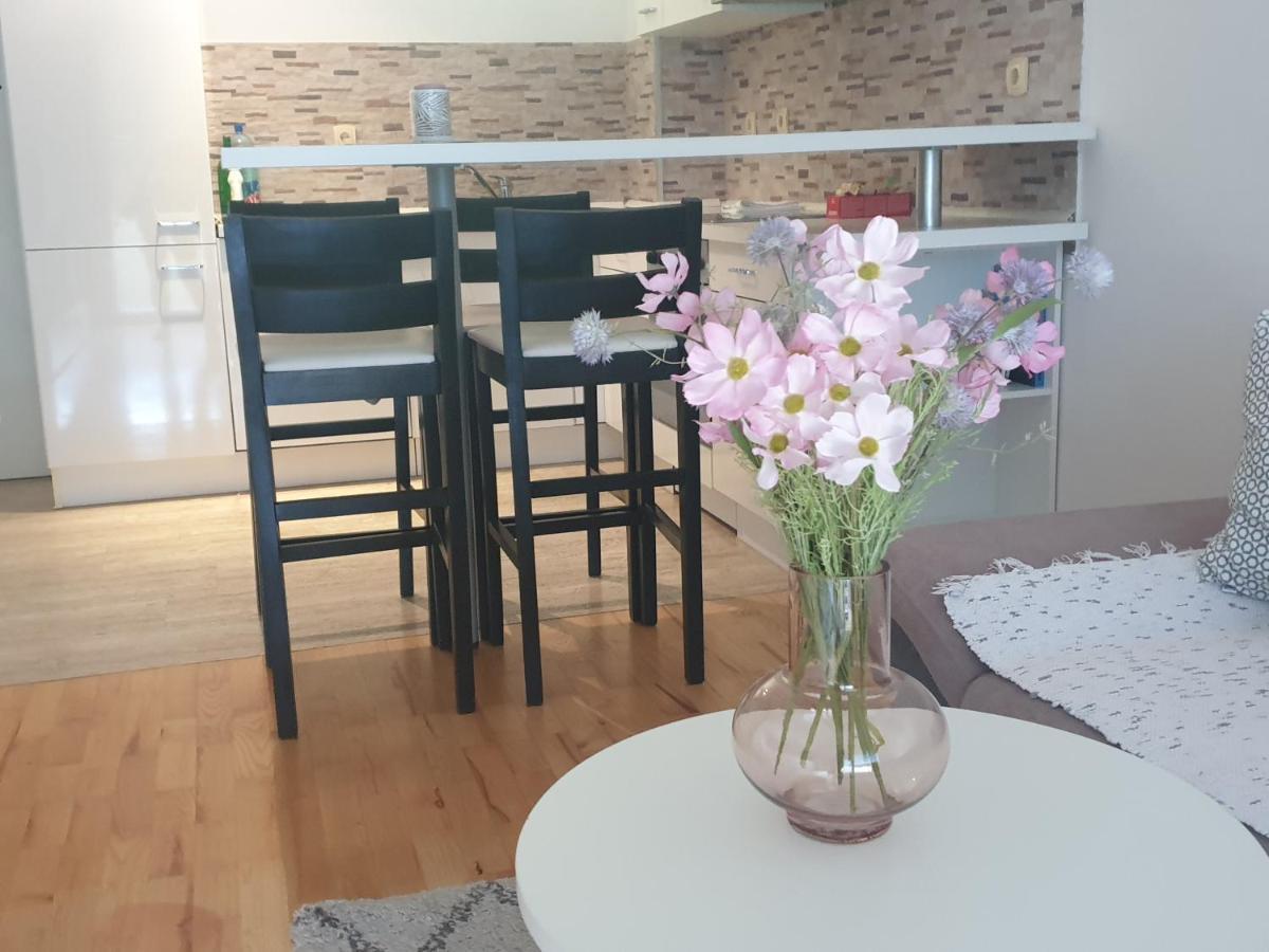 טרביניה Apartman Srna מראה חיצוני תמונה