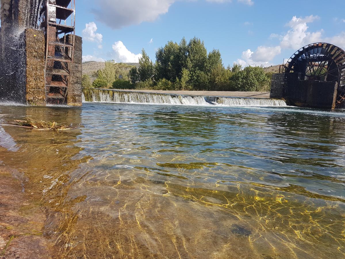 טרביניה Apartman Srna מראה חיצוני תמונה